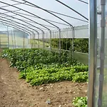 مزرعة للإقامة Agriturismo Vecchio Gelso *