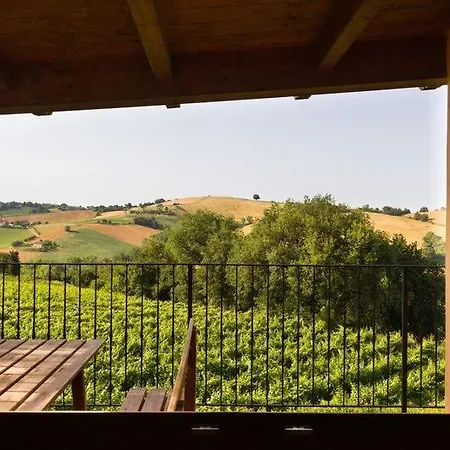 Vecchio Gelso * Ortezzano