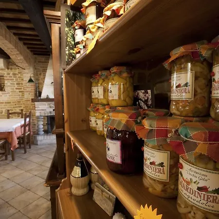 Vecchio Gelso Ortezzano