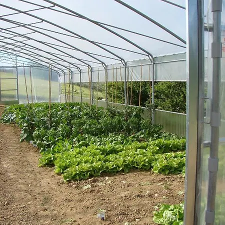 בית חווה Vecchio Gelso *