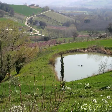 Vecchio Gelso Farm stay *