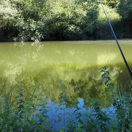 Vecchio Gelso Alloggio per agriturismo