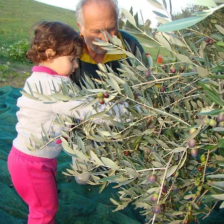 Vecchio Gelso Farm stay