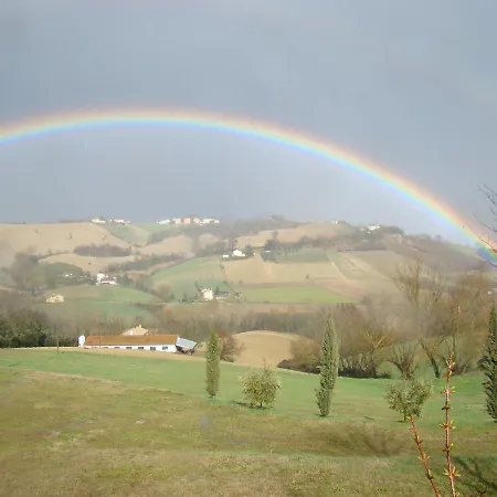 Vecchio Gelso