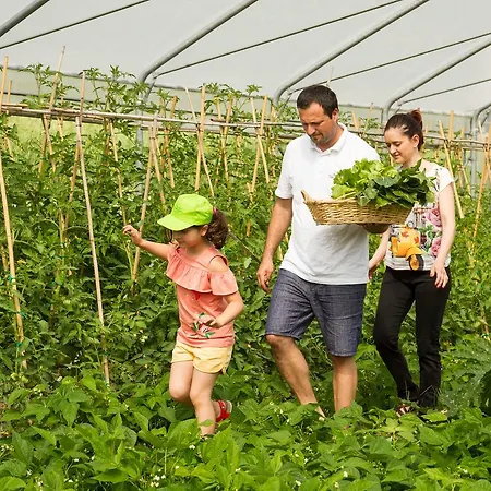בית חווה Vecchio Gelso