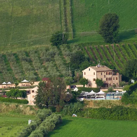 Vecchio Gelso