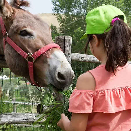 Vecchio Gelso Farm stay *