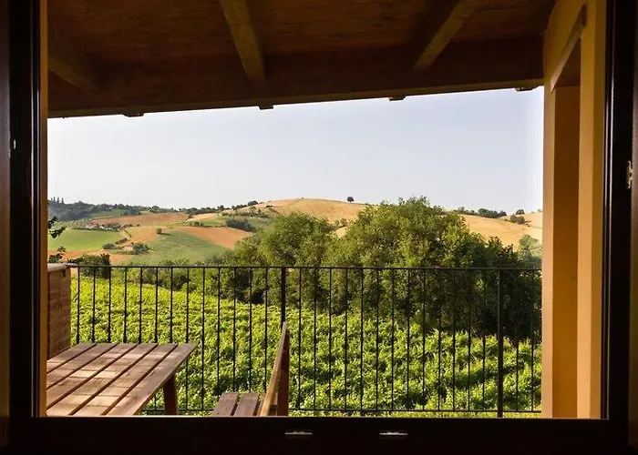 Vecchio Gelso * Ortezzano