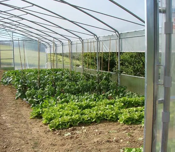 Farm stay Vecchio Gelso *