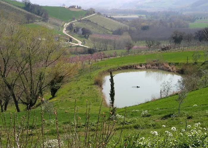 Vecchio Gelso Alloggio per agriturismo *