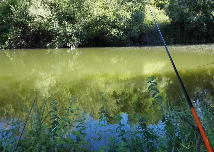 Vecchio Gelso Farm stay