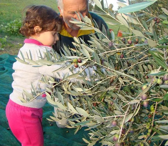 Vecchio Gelso Alloggio per agriturismo