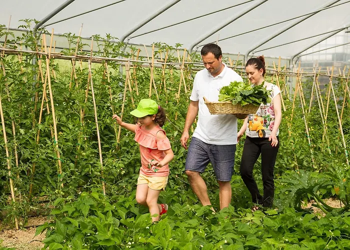 Farm stay Vecchio Gelso