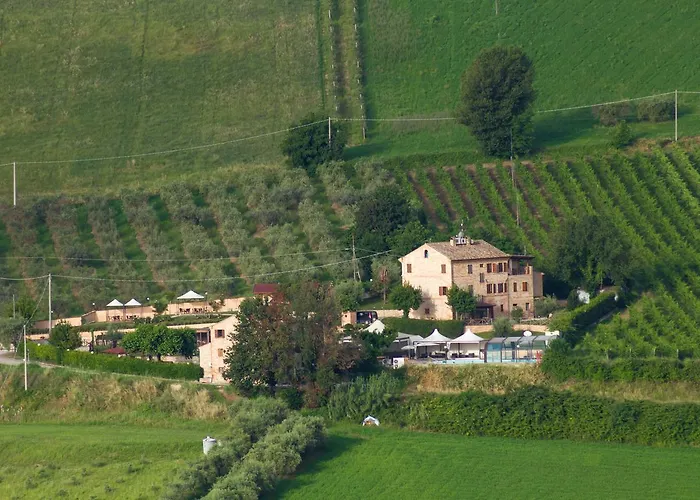 Vecchio Gelso
