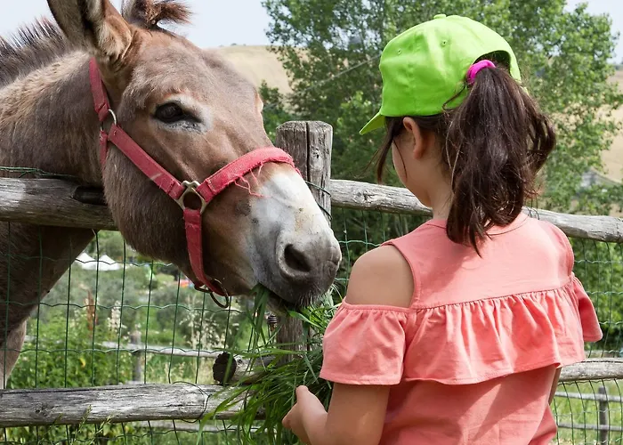 Vecchio Gelso Séjour à la ferme *